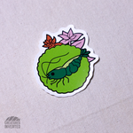 Cherry Shrimp Vinyl Sticker