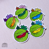 Cherry Shrimp Vinyl Sticker