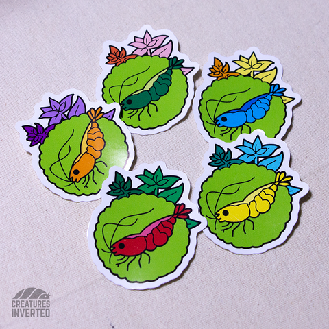 Cherry Shrimp Vinyl Sticker