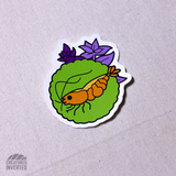 Cherry Shrimp Vinyl Sticker