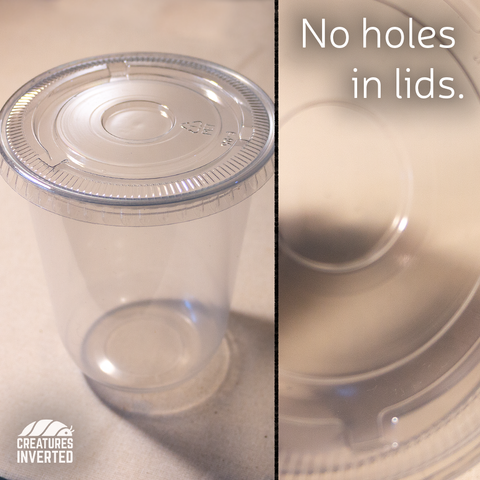 Culture Cups - Lids with no holes