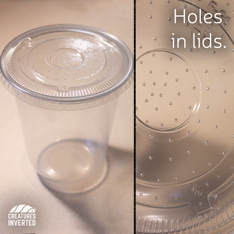 Culture Cups - Lids with holes